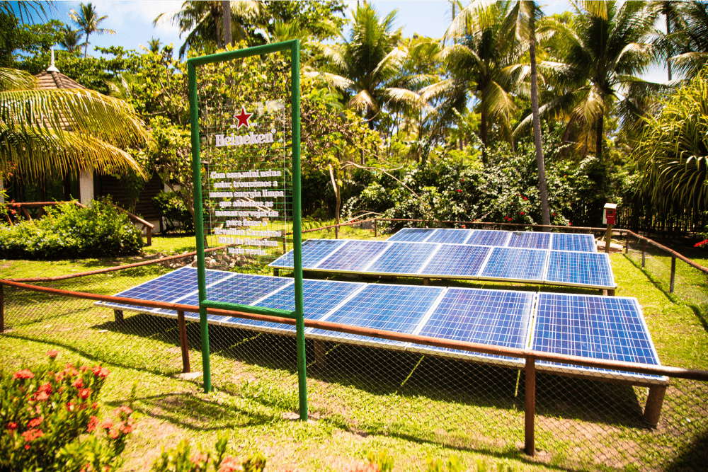 Description of Photo