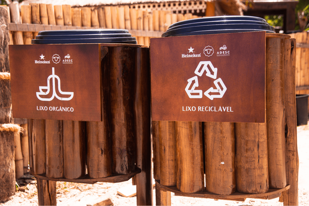 Description of Photo