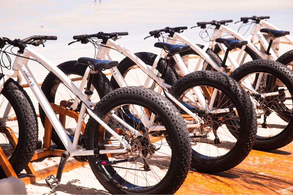 Description of Photo