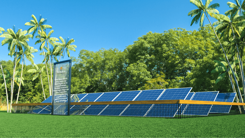 Description of Photo