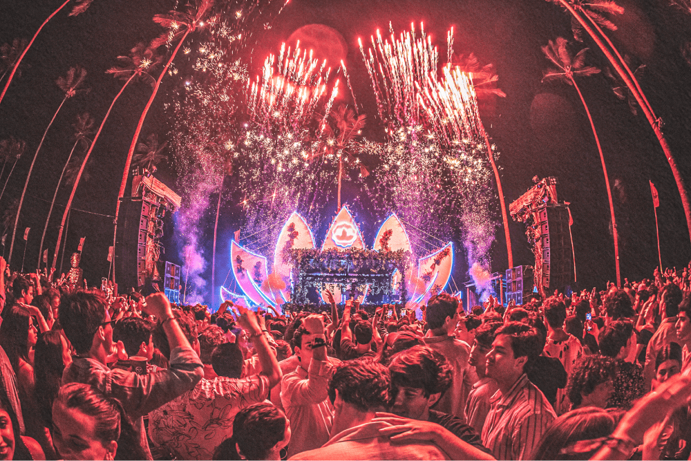 Description of Photo