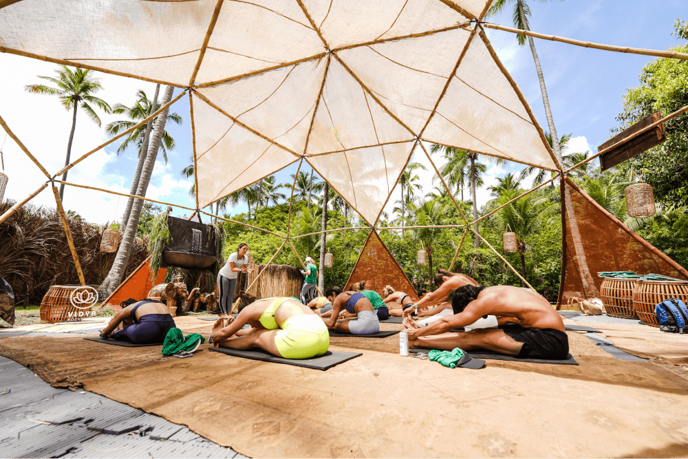 Description of Photo