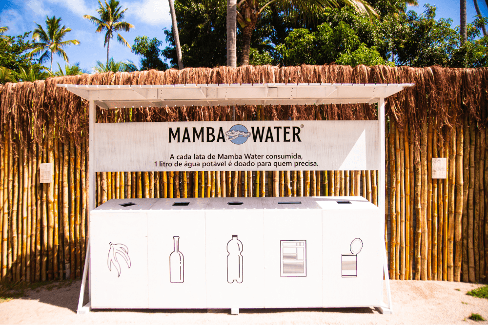 Description of Photo