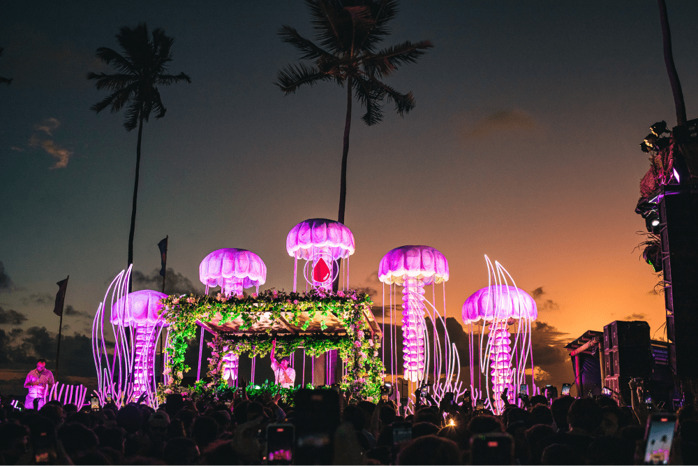 Description of Photo