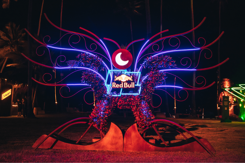 Description of Photo