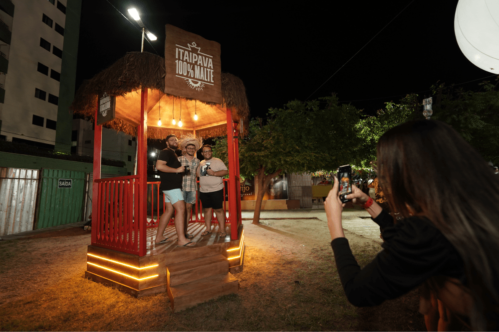 Description of Photo