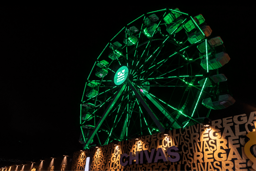 Description of Photo